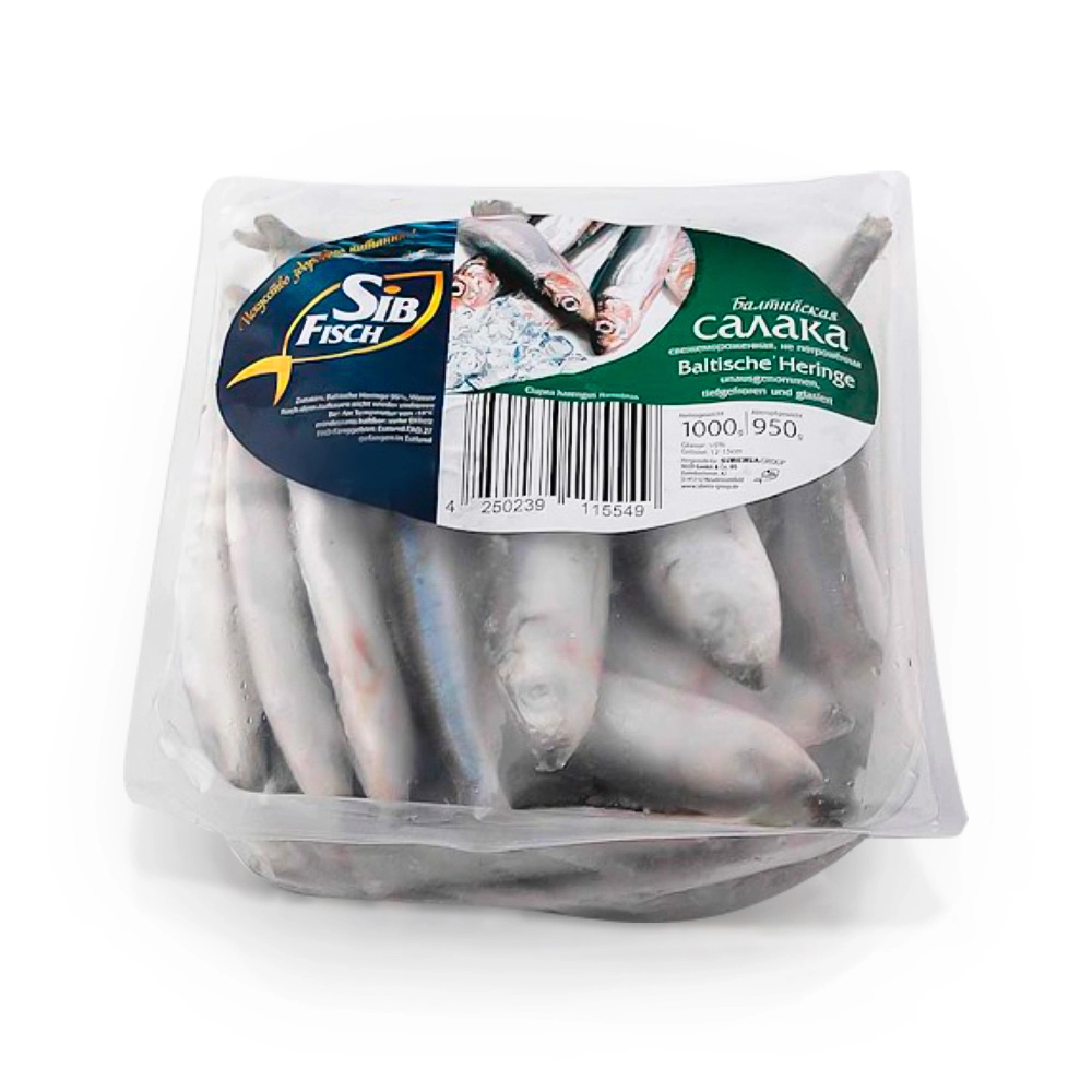 Baltischer Strömling, Unausgenommen, Sib Fisch, 1kg