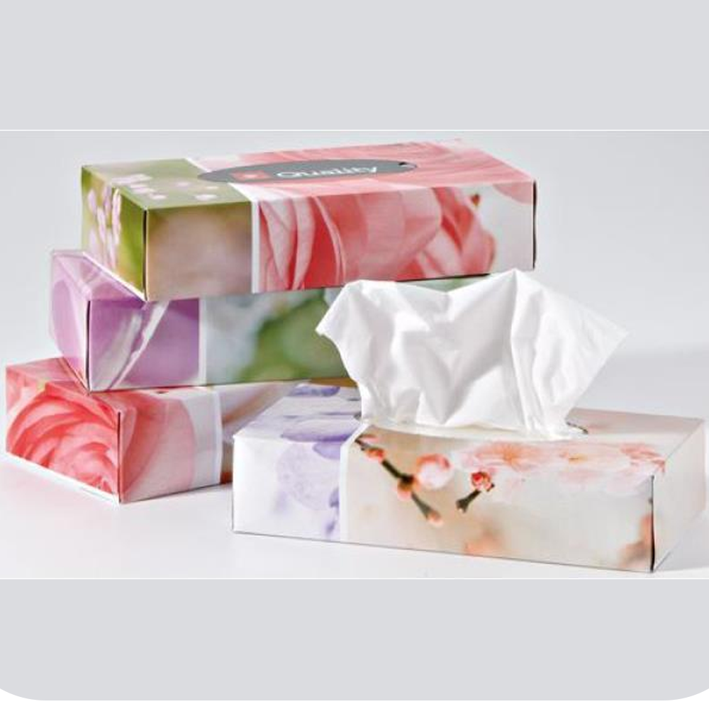 Kosmetiktücher 100Stk